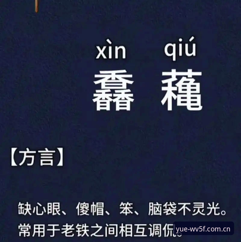乐鱼官网2025最新版下载哪个好？实测对比告诉你答案